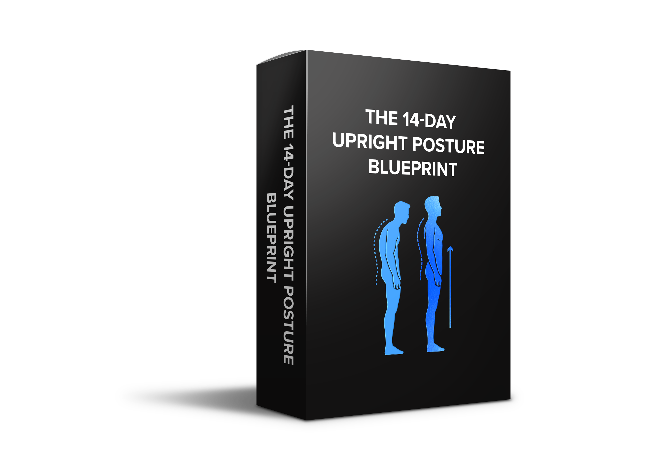 14 Day Upright Posture Blueprint